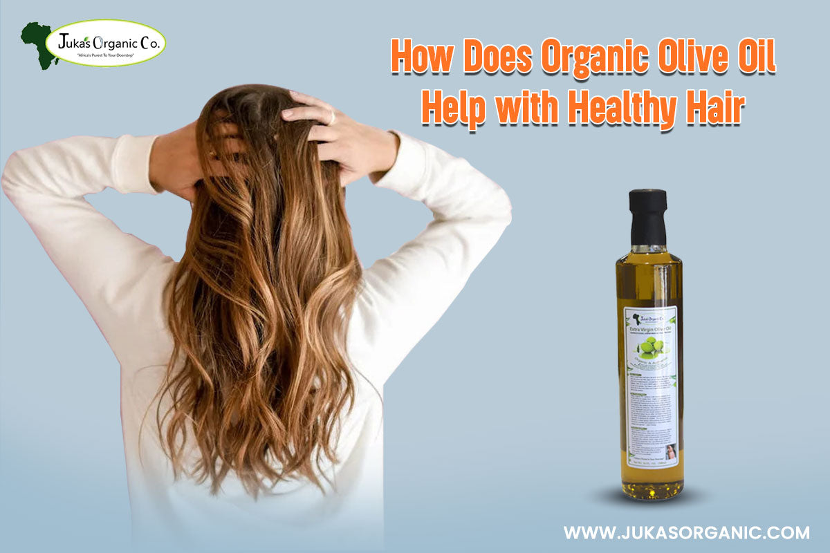 How Does Organic Olive Oil Help with Healthy Hair Juka's Organic Co.