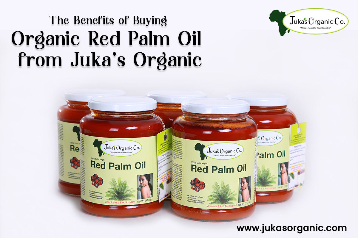 Organic Red Palm Oil