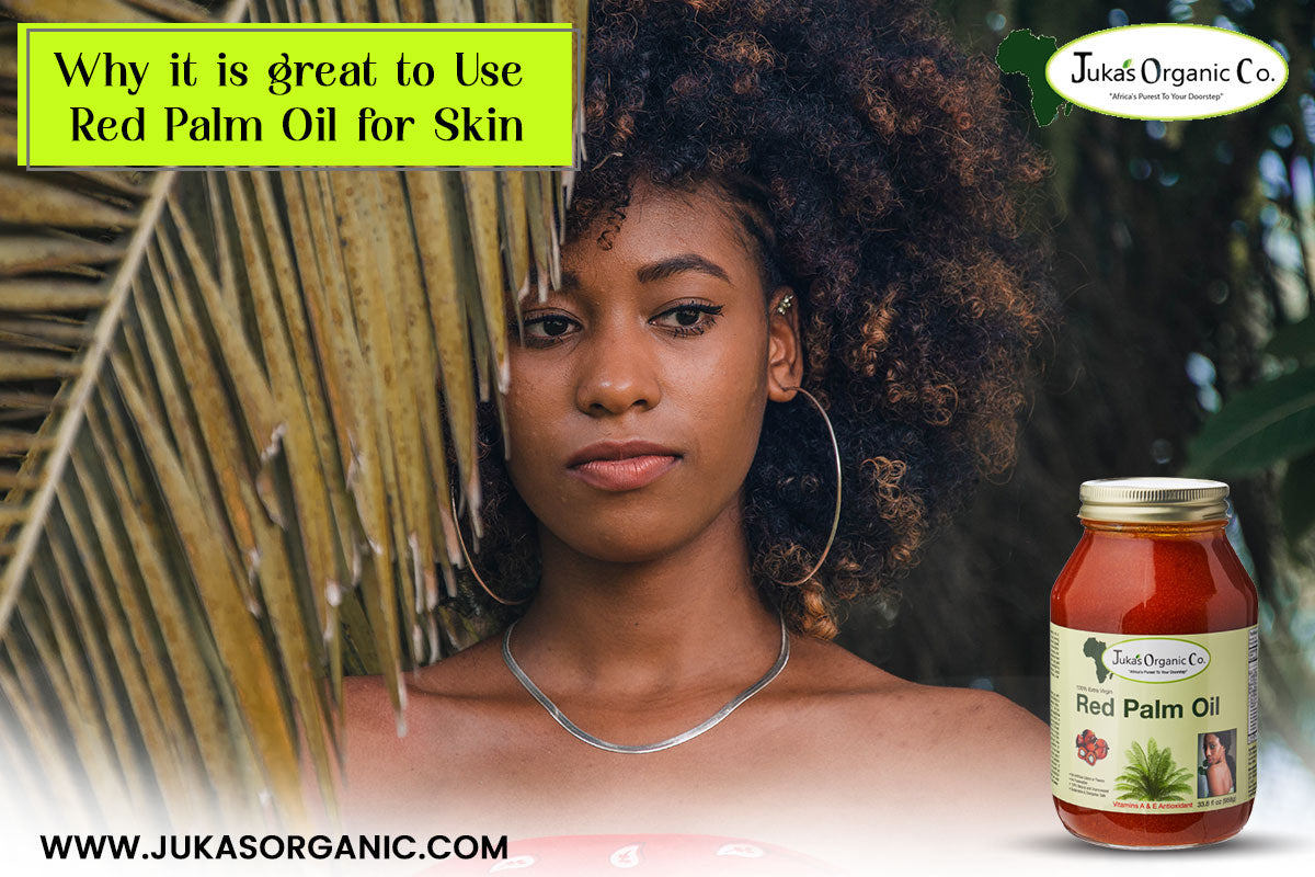 Why it is great to Use Red Palm Oil for Skin Juka's Organic Co.