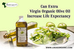 Extra Virgin Olive Oil