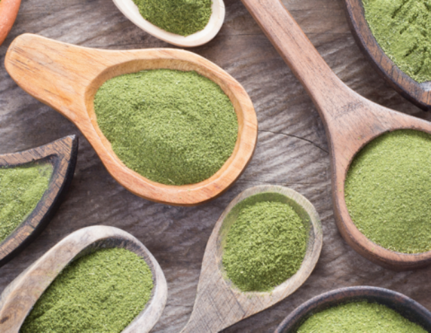 Buy the Best Moringa Powder – The Healthy Superfood