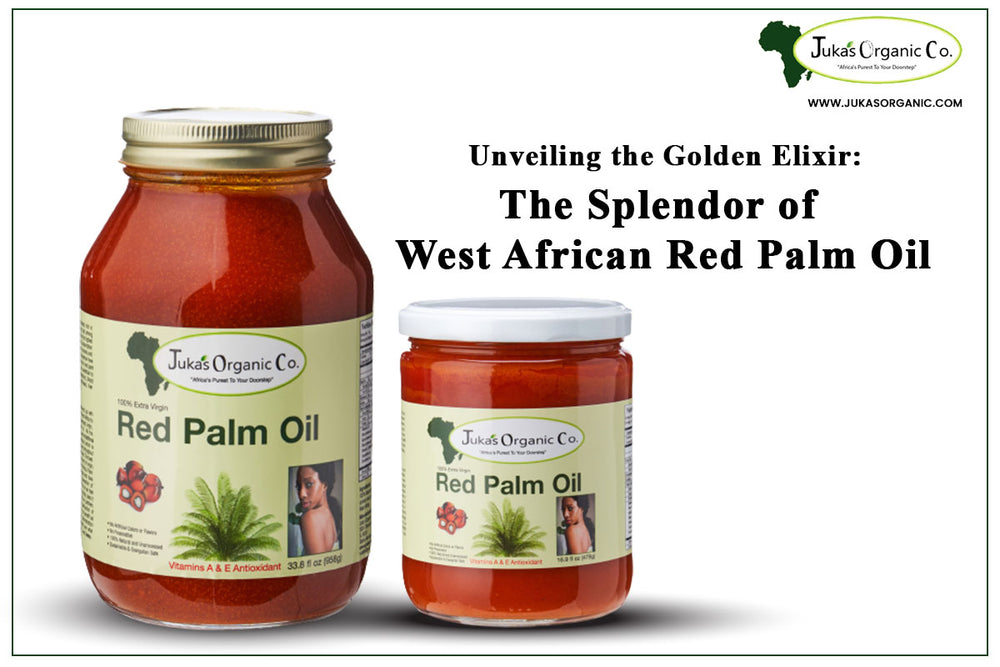 Unveiling the Golden Elixir: The Splendor of West African Red Palm Oil