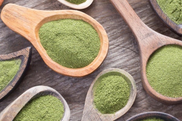 Buy Moringa Powder for our healthier day to day  life